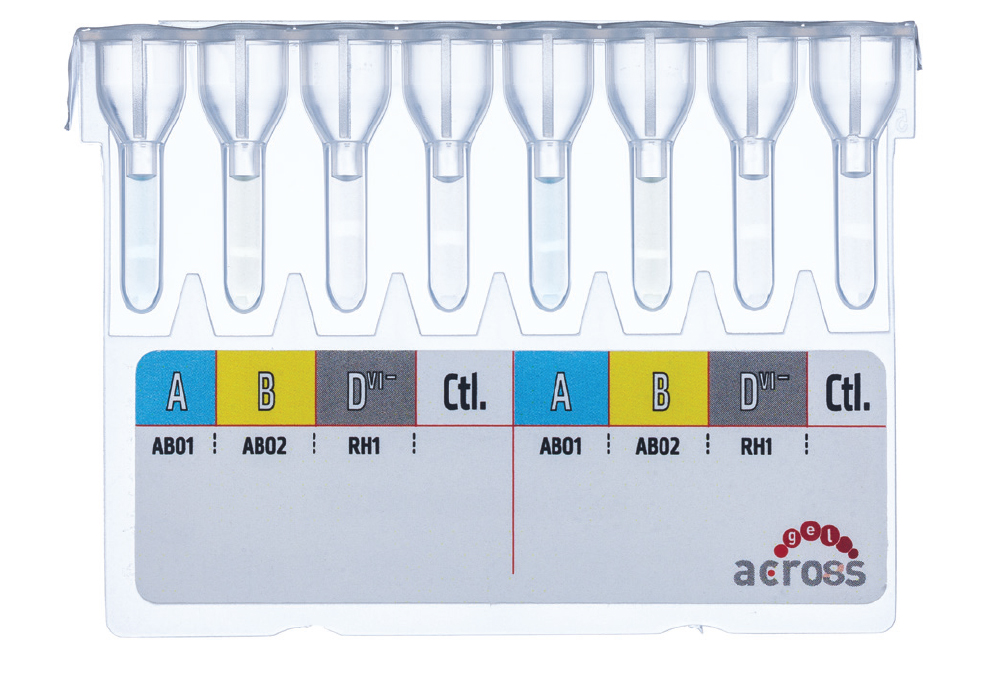 Cartela Across Gel<sup>®</sup>  Double ABO/D<sup>vı+</sup>